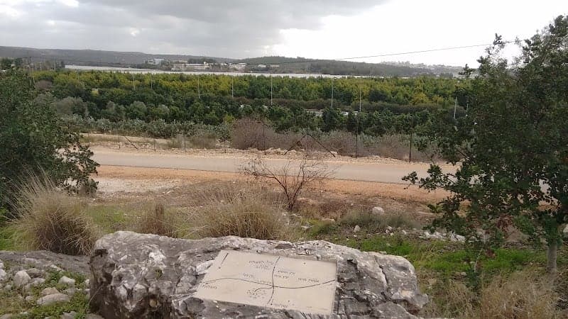 תמונה של קיבוץ כברי