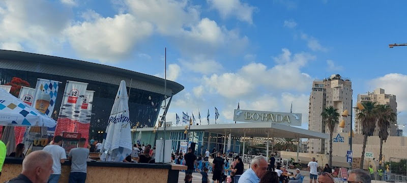 מרכז מונארט לאמנויות אשדוד - תמונה 4