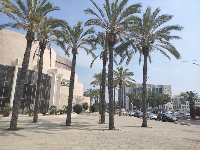 היכל התרבות אשקלון - תמונה 5