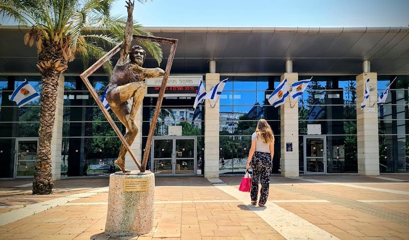 היכל התרבות ע'ש נרקן כרמיאל - תמונה 4